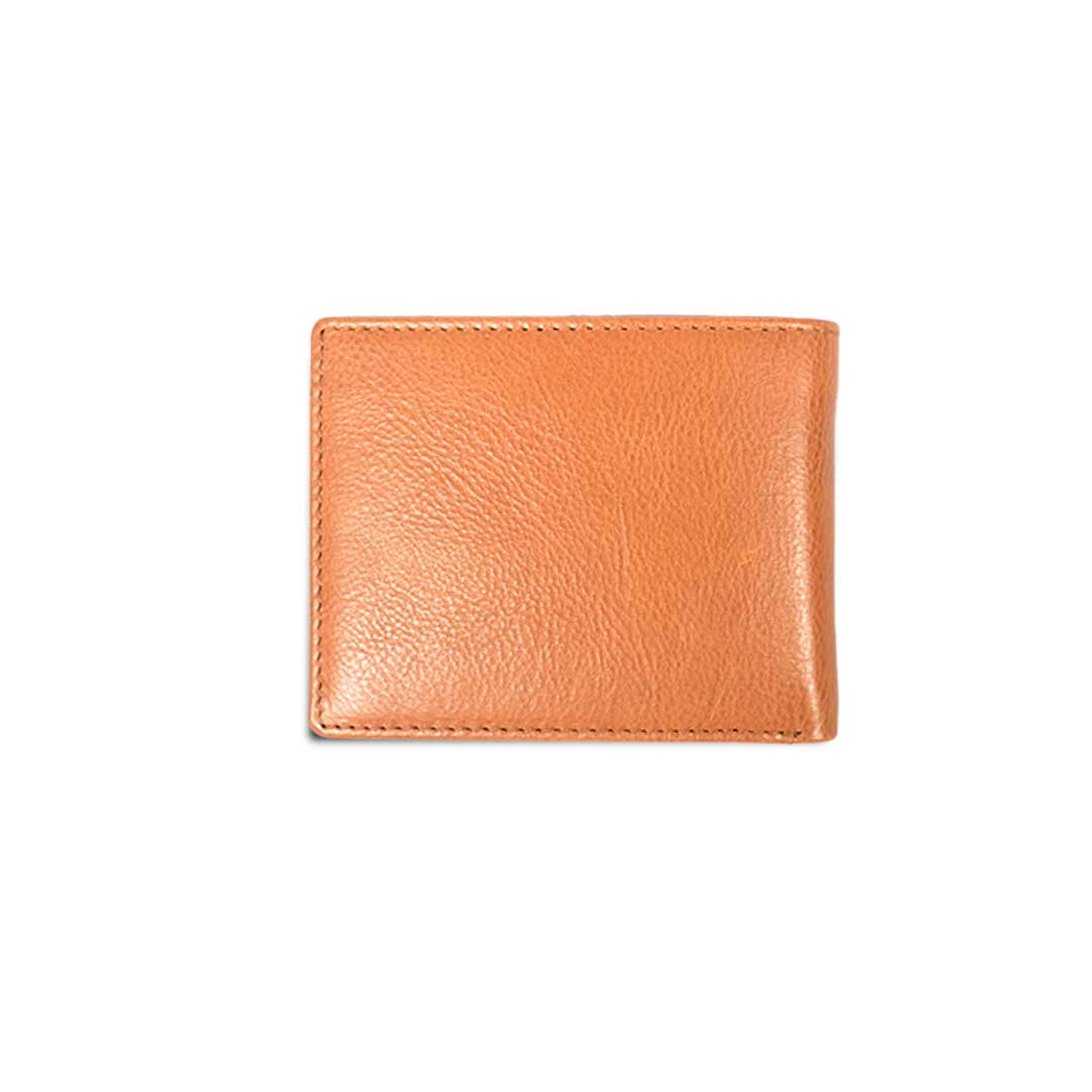 coLor_tan
